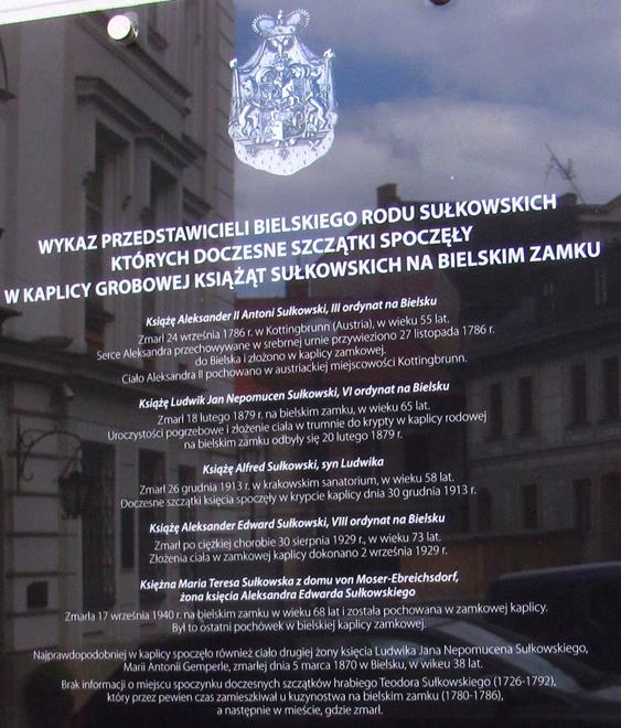 18. Zamek Sułkowskich.JPG