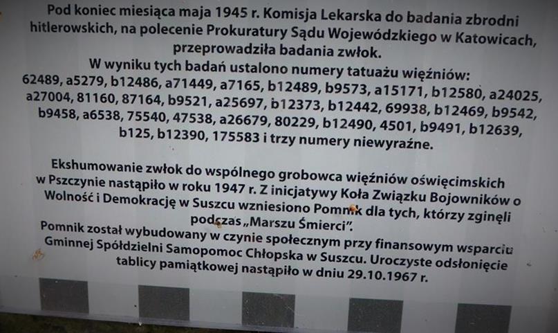 Pomnik w miejscu mogiły (9).JPG