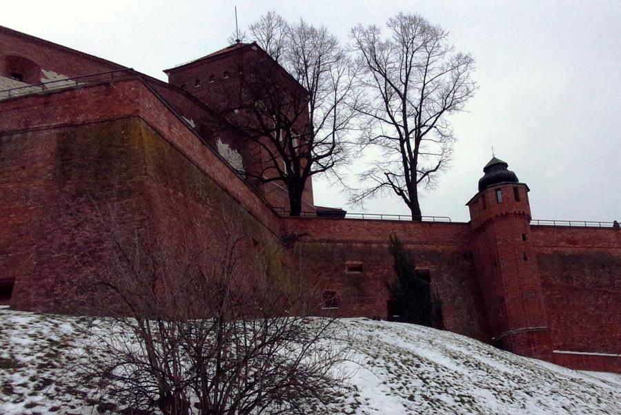 7. Cytadela Wawel.JPG