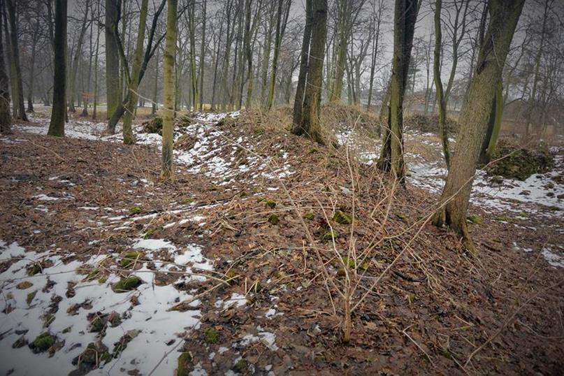 Pozostałości Starego Zamku (8).JPG