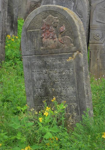 Cmentarz w Szydłowcu (13).JPG