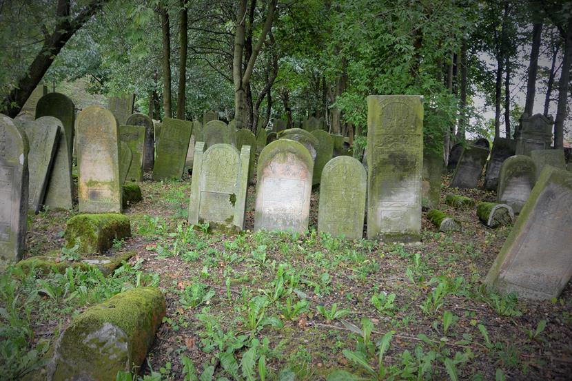 Cmentarz w Szydłowcu (26).JPG