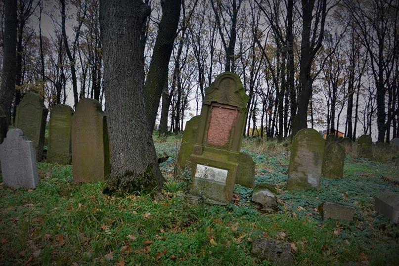 Na cmentarzu żydowkim (22).JPG