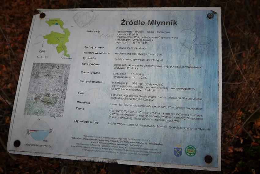 Młynnik (5).JPG