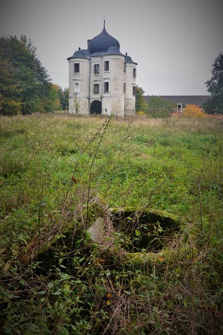 Pozostałości parku i ogrodu.JPG