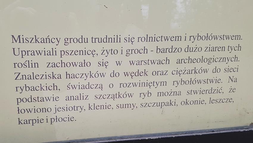 Grodzisko Barbarka (10).jpg