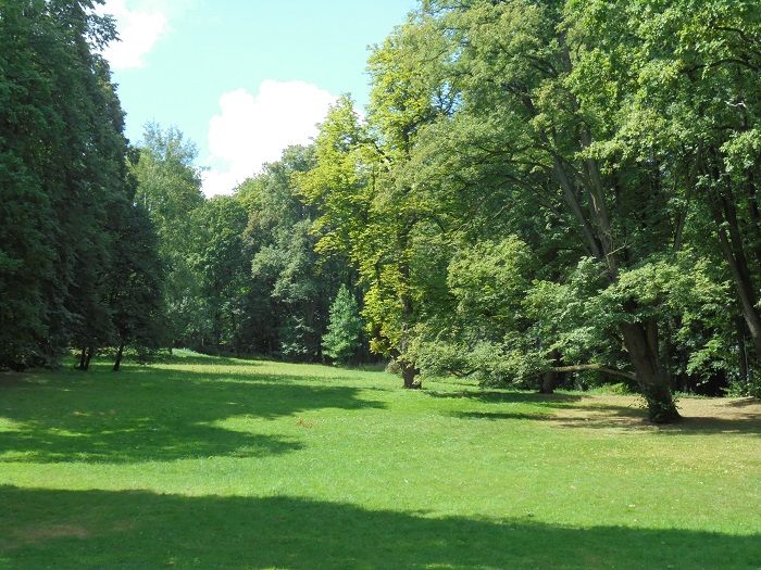 Brzesko palac park 1.JPG