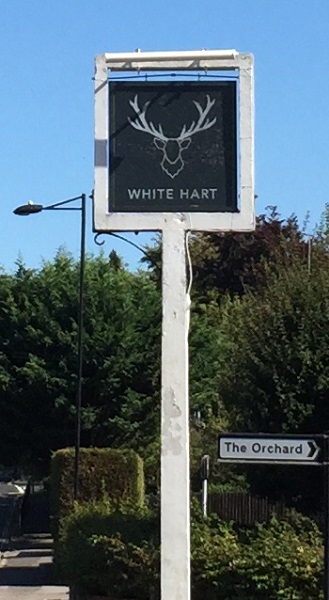 white hart2.jpg