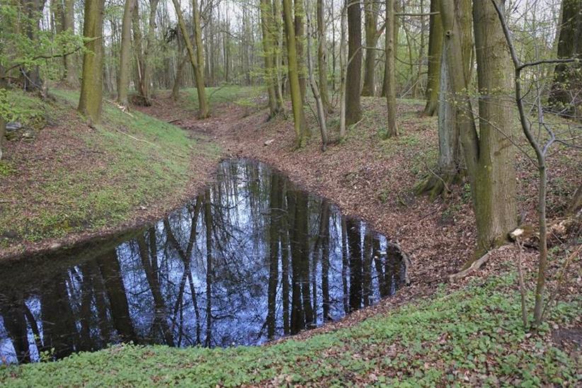 Grodzisko średniowieczne (2).JPG