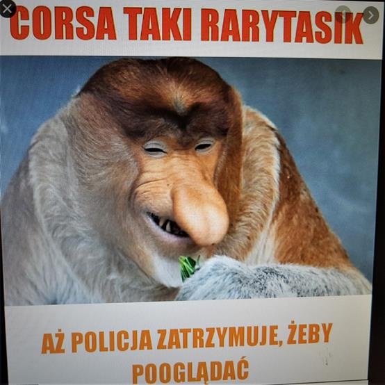 Policja.jpg