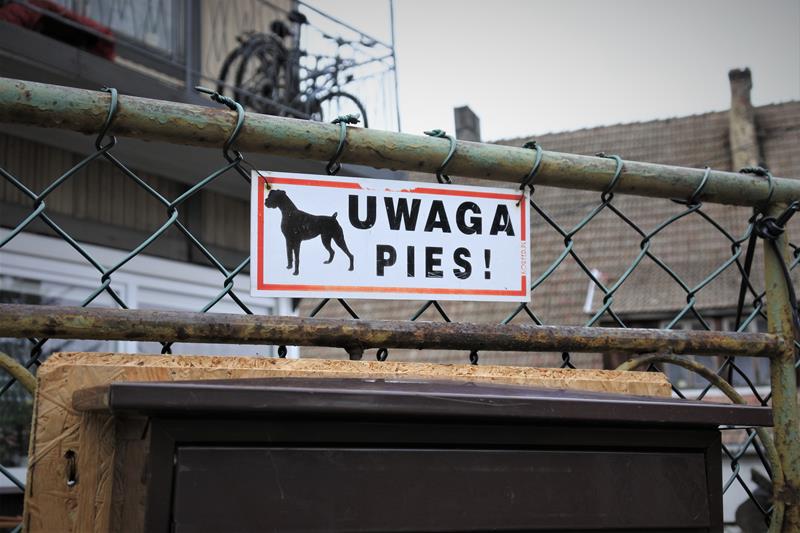 1 UWAGA PIES.JPG