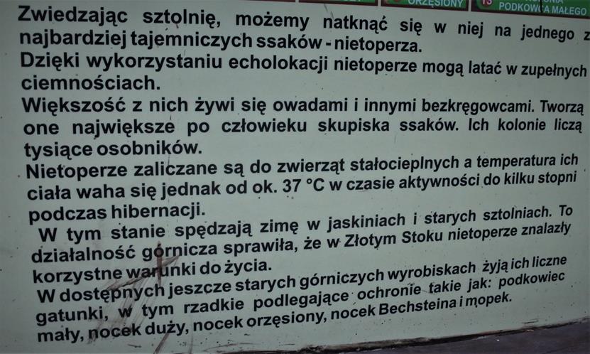 Sztolnia Książęca (3).JPG