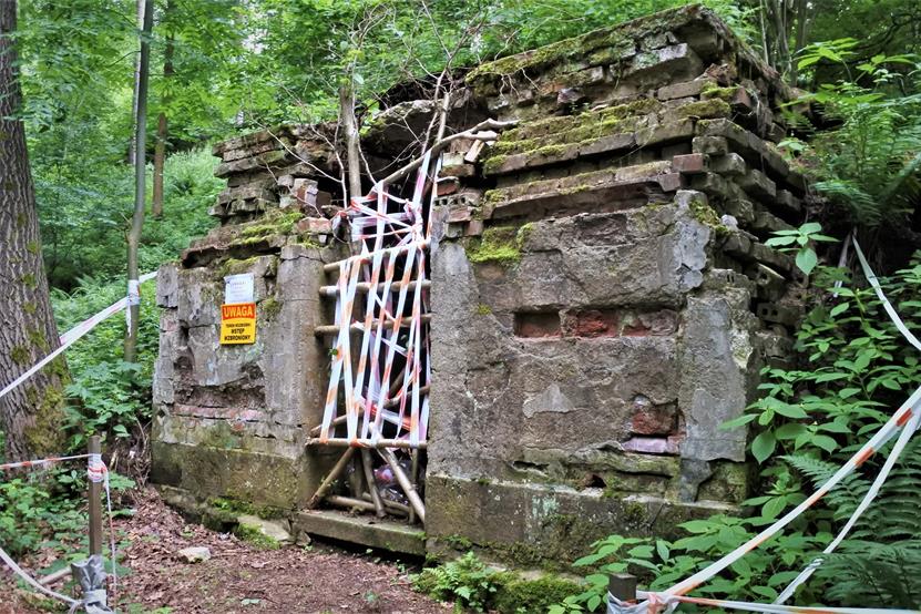 Sokołowsko - grobowiec pana doktora i jego żony (7).JPG