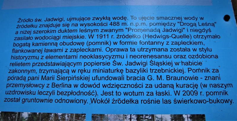 Źródło świętej Jadwigi (10).JPG