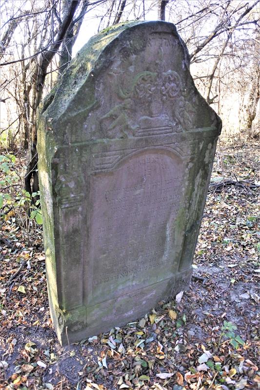 Radymno - cmentarz żydowski (6).JPG