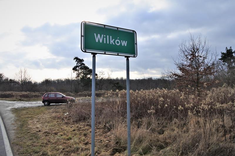 Wilków - grodzisko (9).JPG