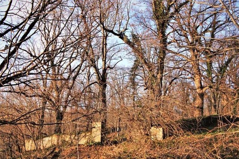 Gołaszyce - zapomniany cmentarz (1).JPG