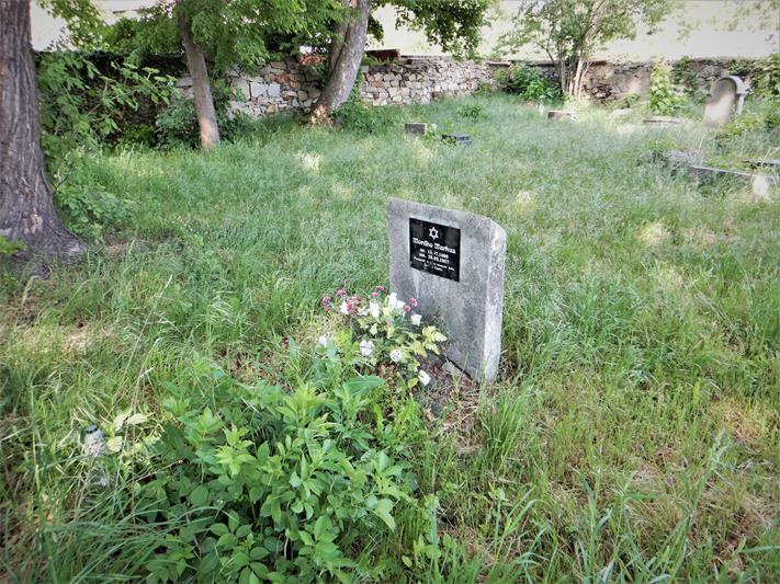 Jawor - cmentarz żydowski (11).JPG