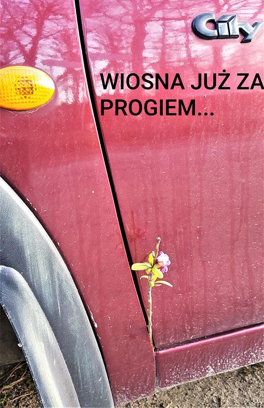 A progi jeszcze eleganckie!.jpg