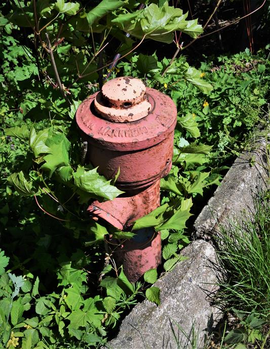 Hydrant (1).JPG