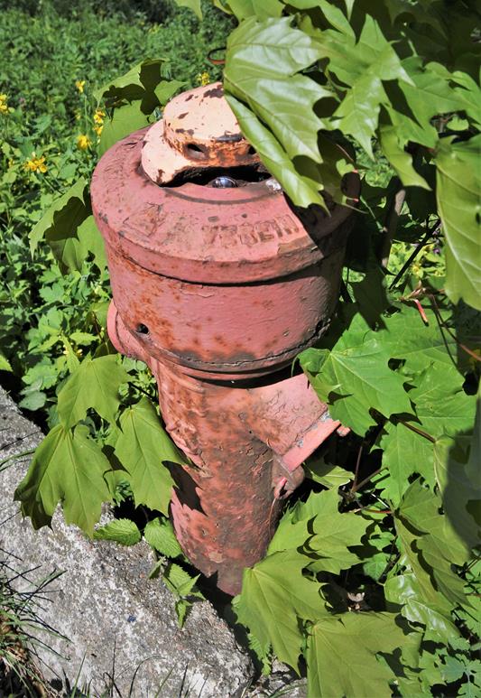 Hydrant (2).JPG