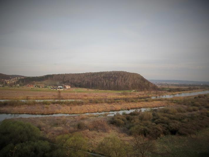 Widok na grodzisko w Tyńcu.jpg