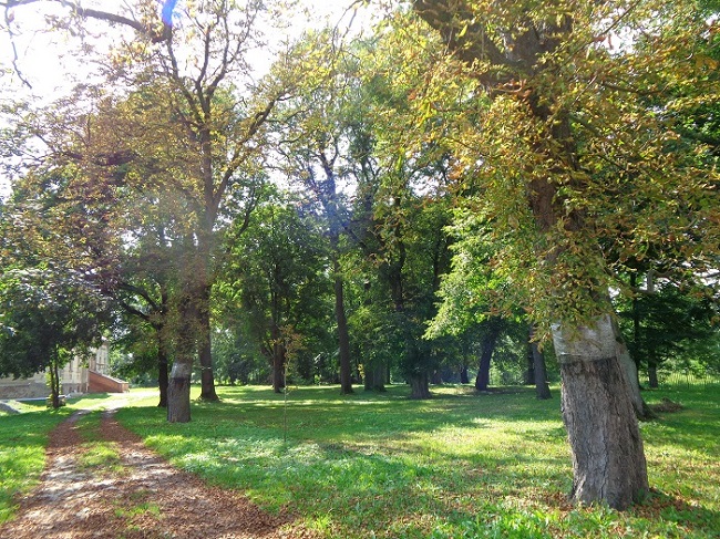 Gorka dwor park.JPG