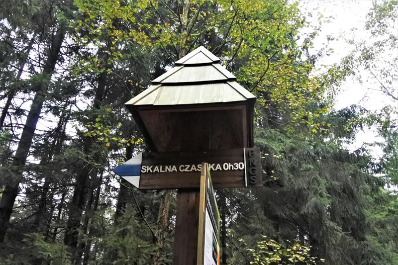 Skalna Czaszka (8).JPG