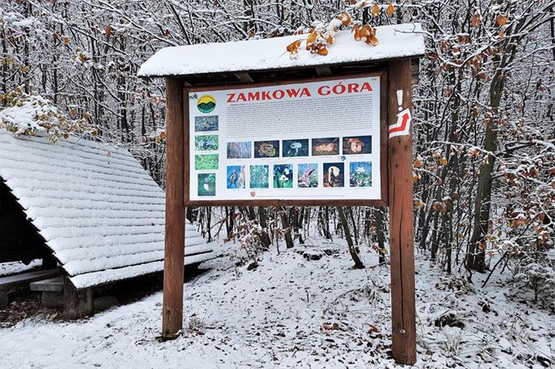 Zamkowa Góra (11).jpg