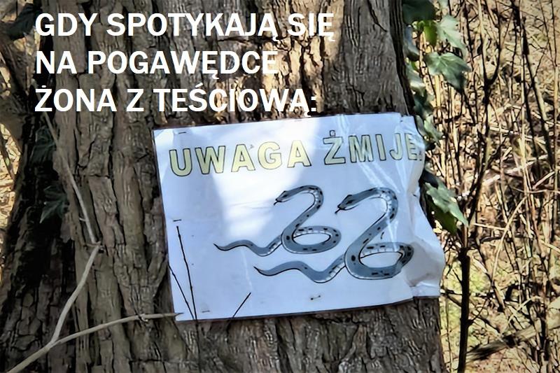 Uwaga żmije!.jpg