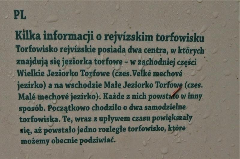 Jeziorko torfowe (2).JPG