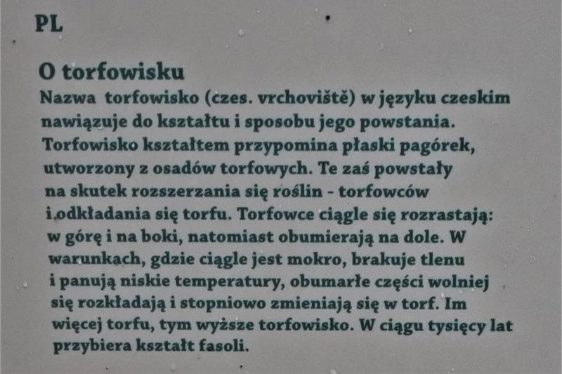 Jeziorko torfowe (3).JPG