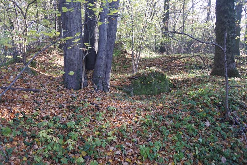 Piorunkowice (13).JPG