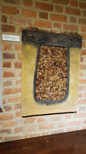 Wrocław - Muzeum Archeologiczne  (8).jpg