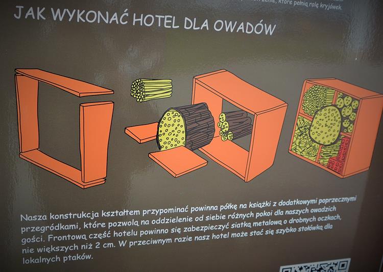 Ogród Edukacyjny Roślin Uprawnych (4).JPG