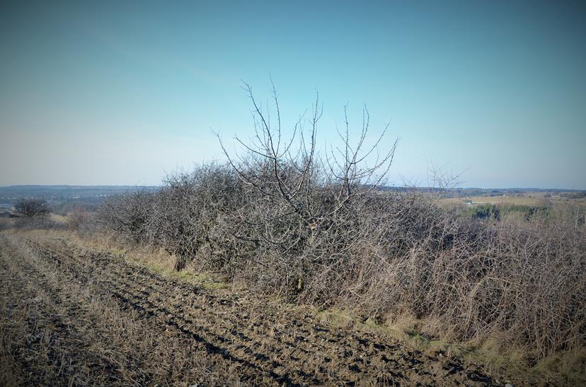 Widok ogólny na schron.JPG