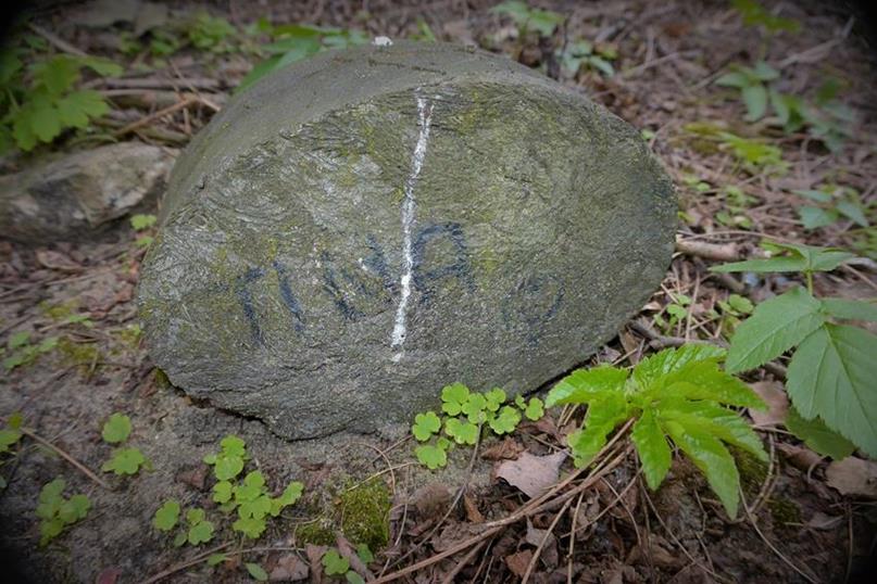 Smentarz dla zwierząt - kwiecień 2016 (21).JPG