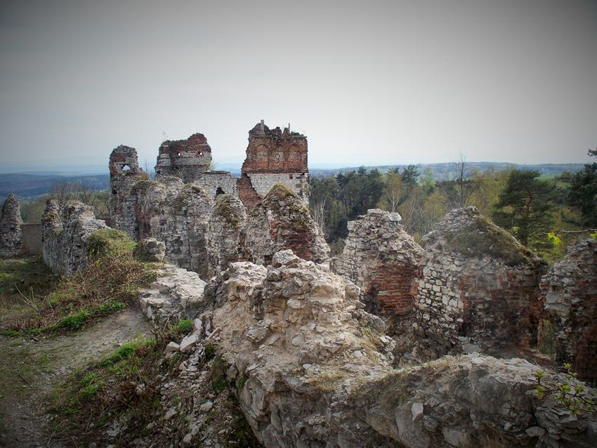 Widok na basteję, na pierwszym planie szyja barbakanu.jpg