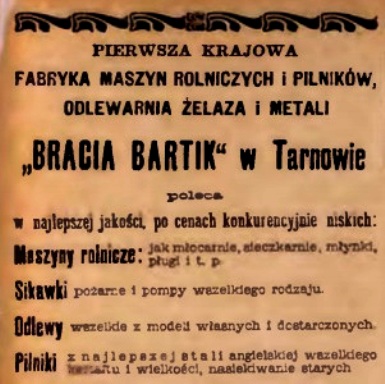 Bracia Bartik.jpg